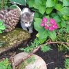 img-20180716-wa0012