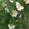 img-20190525-wa0022