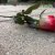 img-20190829-wa0038