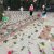 img-20190829-wa0041